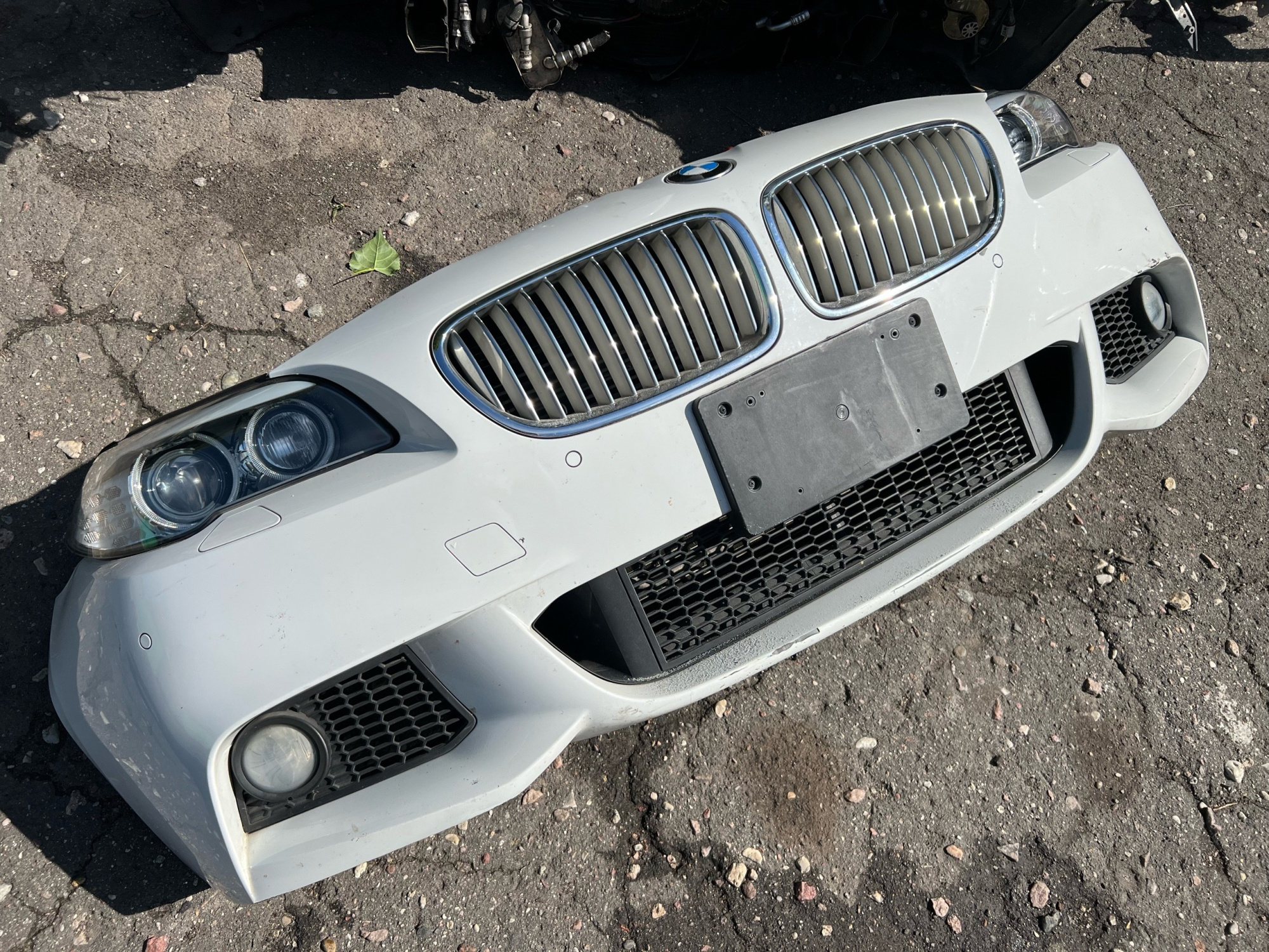 Ноускат F10